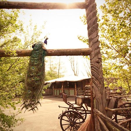 Bamboo Lodge Groningen Luaran gambar